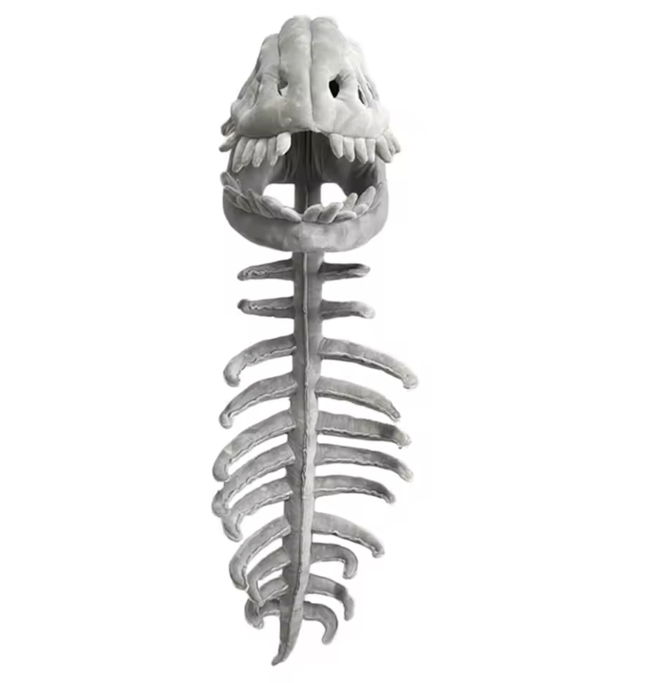 BoneRex