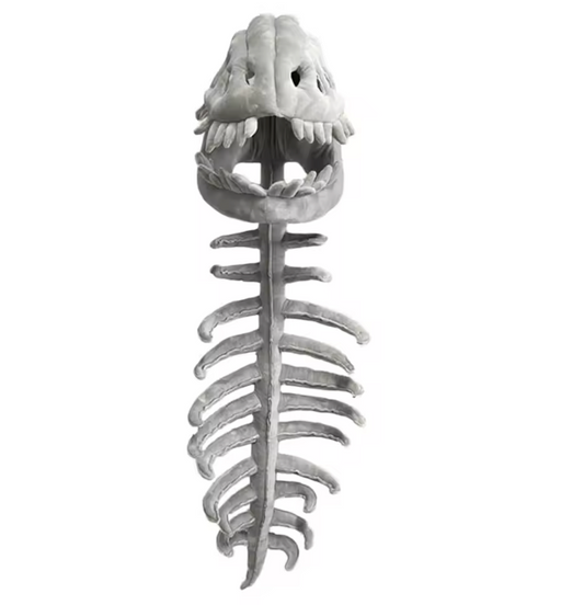 BoneRex